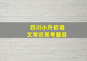 四川小升初语文常识常考题目