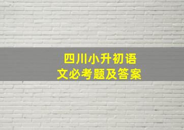 四川小升初语文必考题及答案