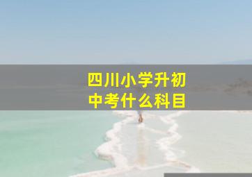 四川小学升初中考什么科目