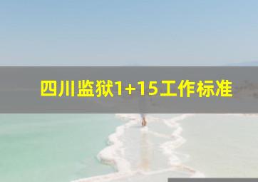 四川监狱1+15工作标准