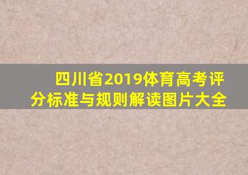 四川省2019体育高考评分标准与规则解读图片大全