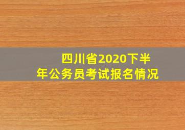 四川省2020下半年公务员考试报名情况