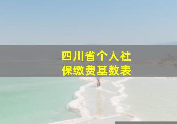 四川省个人社保缴费基数表