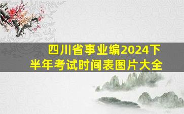 四川省事业编2024下半年考试时间表图片大全