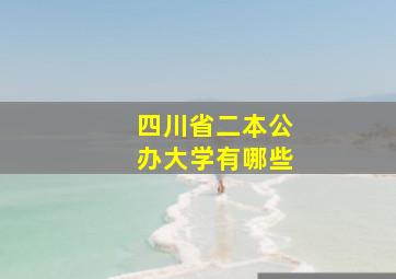 四川省二本公办大学有哪些