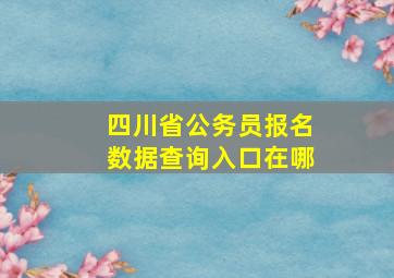 四川省公务员报名数据查询入口在哪