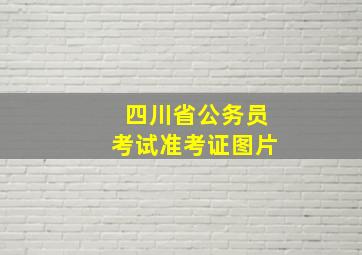 四川省公务员考试准考证图片