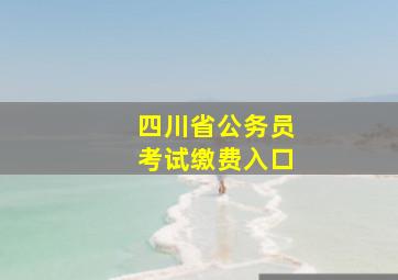 四川省公务员考试缴费入口