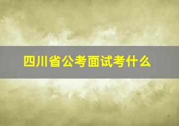 四川省公考面试考什么