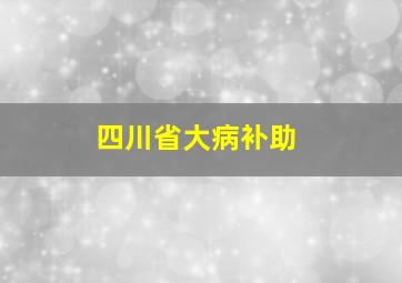 四川省大病补助