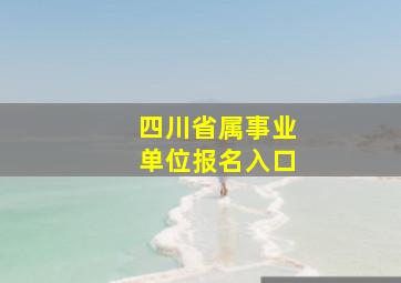 四川省属事业单位报名入口