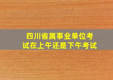 四川省属事业单位考试在上午还是下午考试