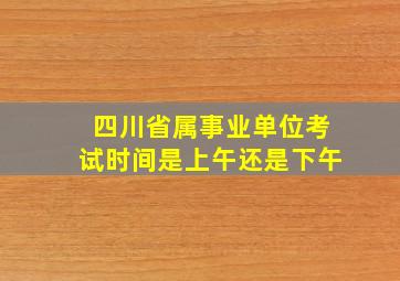 四川省属事业单位考试时间是上午还是下午