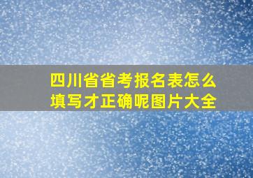 四川省省考报名表怎么填写才正确呢图片大全