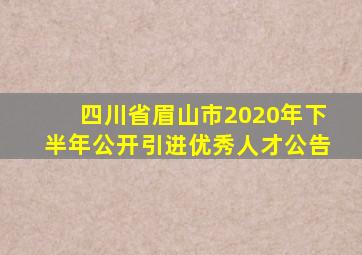 四川省眉山市2020年下半年公开引进优秀人才公告