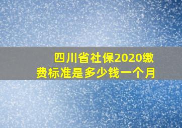 四川省社保2020缴费标准是多少钱一个月