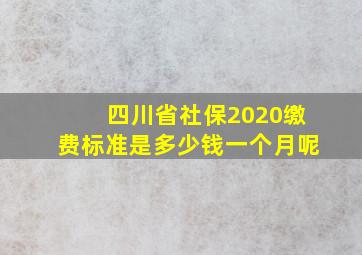 四川省社保2020缴费标准是多少钱一个月呢