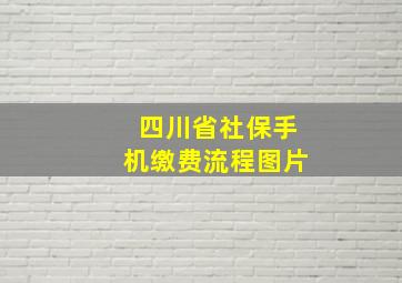 四川省社保手机缴费流程图片