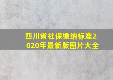 四川省社保缴纳标准2020年最新版图片大全