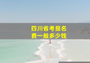 四川省考报名费一般多少钱