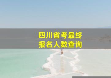 四川省考最终报名人数查询