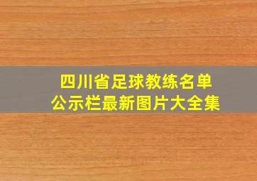 四川省足球教练名单公示栏最新图片大全集