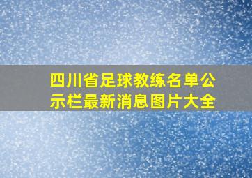 四川省足球教练名单公示栏最新消息图片大全