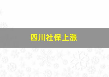 四川社保上涨