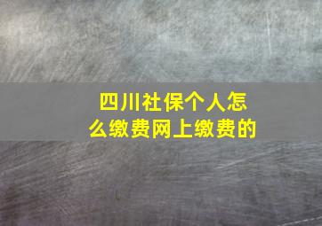 四川社保个人怎么缴费网上缴费的