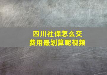 四川社保怎么交费用最划算呢视频