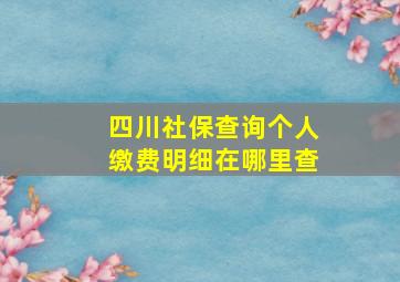 四川社保查询个人缴费明细在哪里查