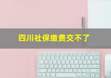 四川社保缴费交不了