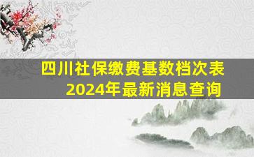 四川社保缴费基数档次表2024年最新消息查询