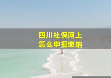 四川社保网上怎么申报缴纳