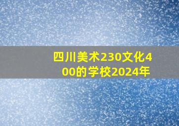 四川美术230文化400的学校2024年