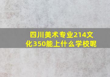 四川美术专业214文化350能上什么学校呢