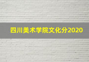 四川美术学院文化分2020