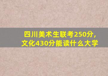 四川美术生联考250分,文化430分能读什么大学