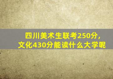 四川美术生联考250分,文化430分能读什么大学呢