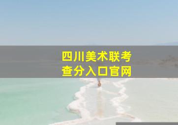 四川美术联考查分入口官网