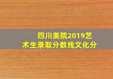 四川美院2019艺术生录取分数线文化分