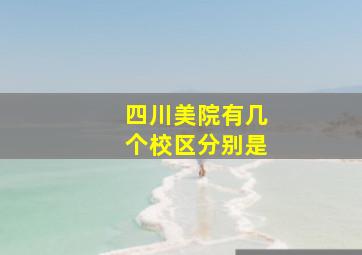 四川美院有几个校区分别是