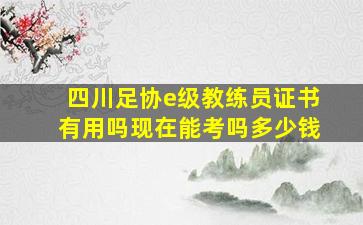 四川足协e级教练员证书有用吗现在能考吗多少钱