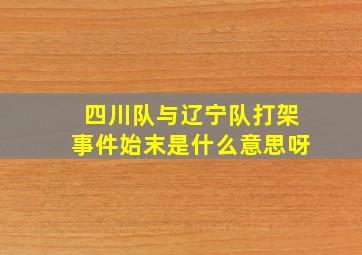 四川队与辽宁队打架事件始末是什么意思呀