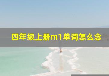 四年级上册m1单词怎么念