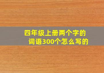 四年级上册两个字的词语300个怎么写的