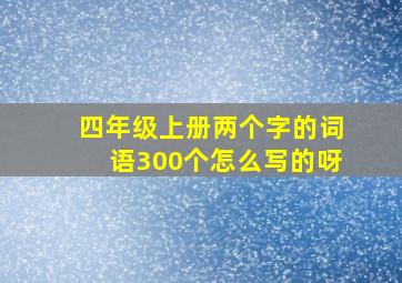 四年级上册两个字的词语300个怎么写的呀