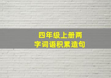 四年级上册两字词语积累造句