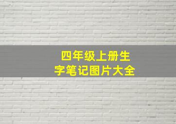 四年级上册生字笔记图片大全