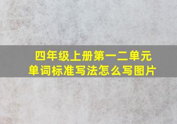 四年级上册第一二单元单词标准写法怎么写图片